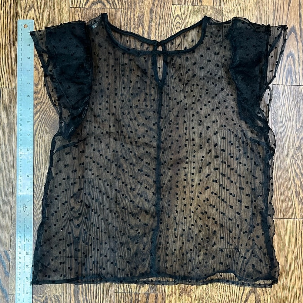 Polka dot tulle see through top